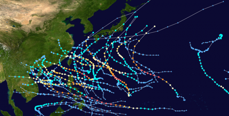 Typhoons of 2013